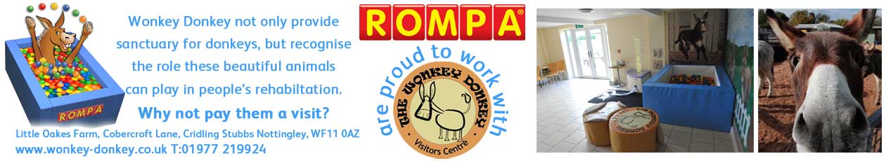 Visit Wonkey Donkey Visit Wonkey Donkey