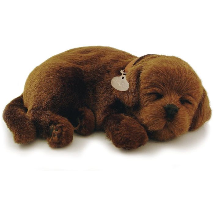 Best dog toys for lab puppies discount