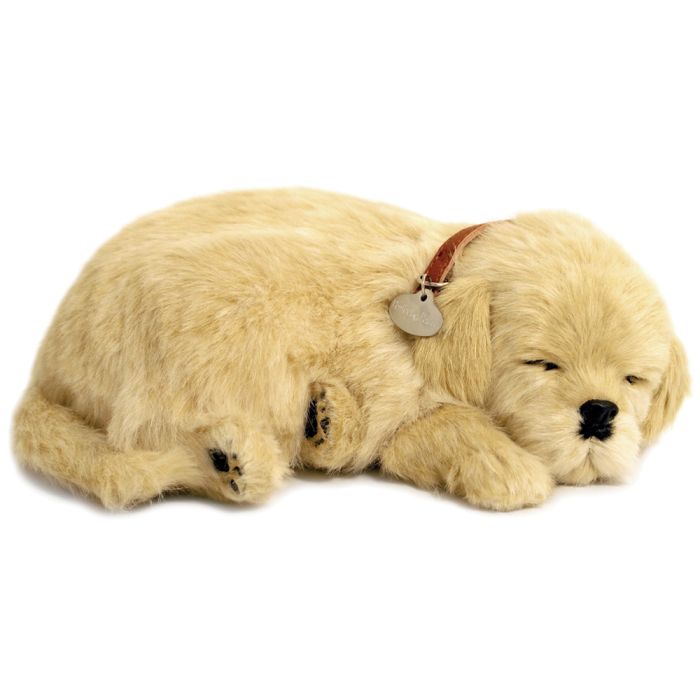 Perfect petzzz target best sale