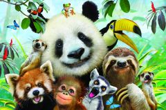 Zoo 48 Piece Puzzle