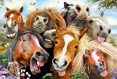 Horses 48 Piece Puzzle