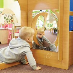 Large Dome Acrylic Mirror 49cm