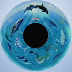 Magnetic Effect Wheels - Whales