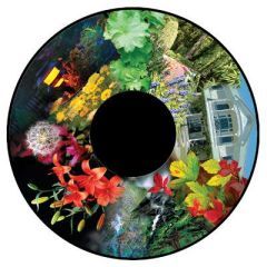 Magnetic Talk About Effect Wheel - Garden