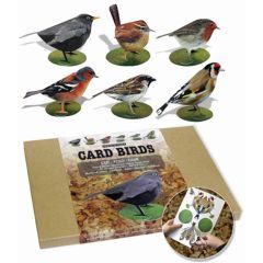 Garden Birds Card Model - Pack of 6