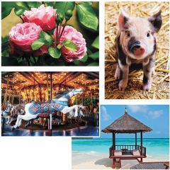 Thera-Jigsaw™ Foam Puzzle Set of 4: Pig, Carousel, Flower and Beach Scene