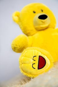 Mood Bear - Happy Bear