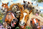 Horses 48 Piece Puzzle