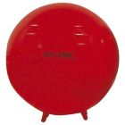 Sit 'n Gym Balls - 55cm diameter
