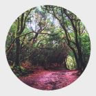Discovery Play Mat - Forest