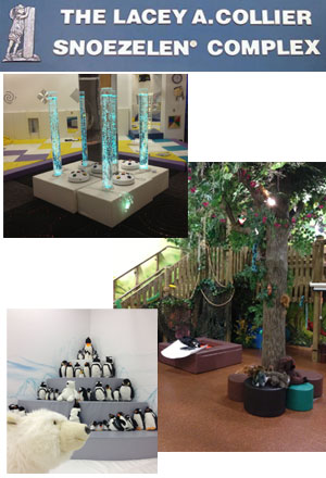 Lacey A Collier Sensory Complex