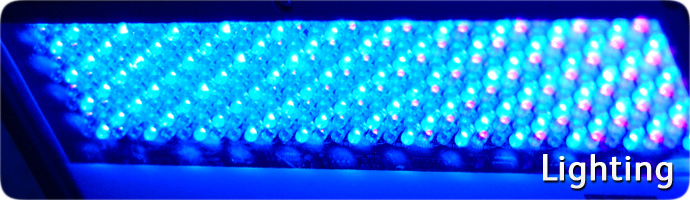 Sensory Room Lighting