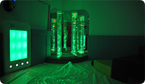 Kingswood Primary Sensory Room